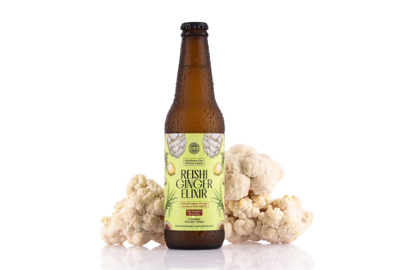 Reishi Ginger Elixir junto a melena de león fresca.